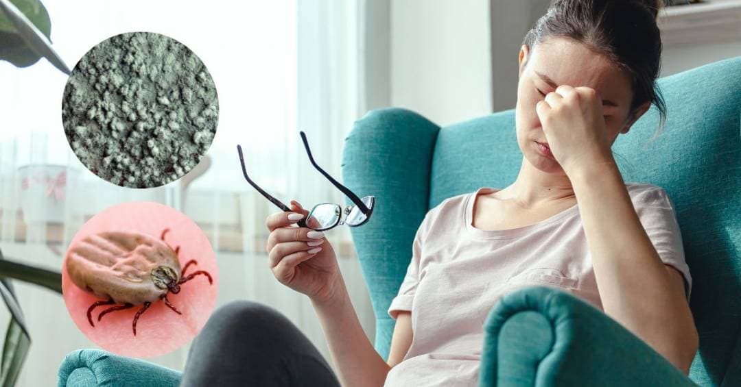 Illustration comparing chronic Lyme disease and mold illness symptoms and lab testing