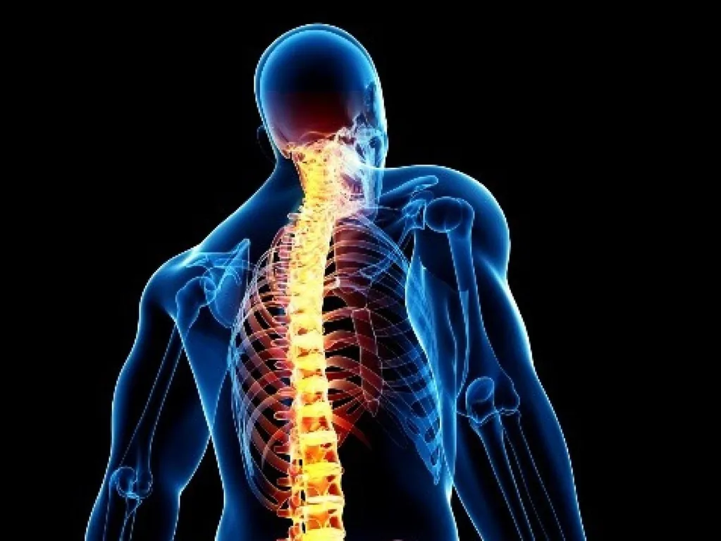 Module II: Subluxation & Functional Analysis of Spine