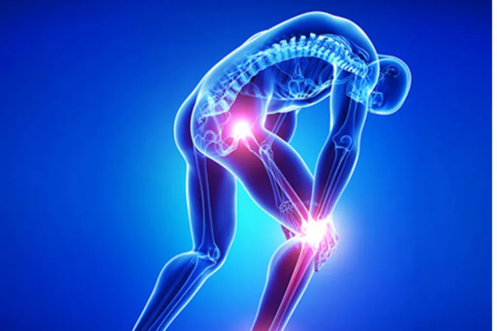 Module IV: Subluxation & Functional Analysis of Lower Extremity