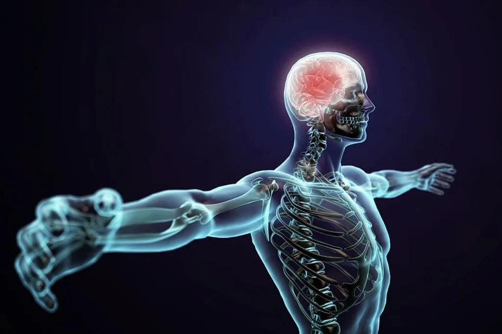 Functional Progression, Health Improvement Matrices, & Lifestyle Prescription - CPSC Module V