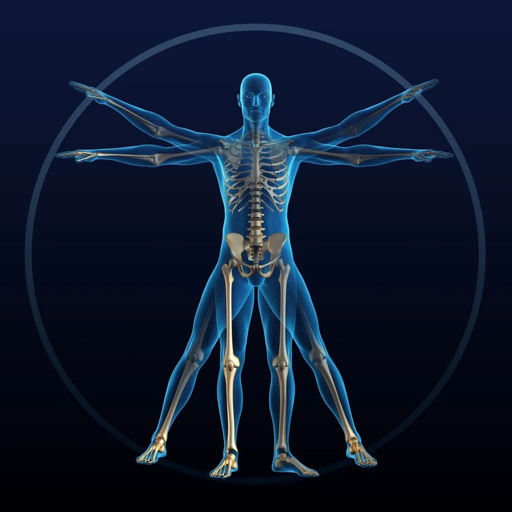 Kinesiology muscle testing