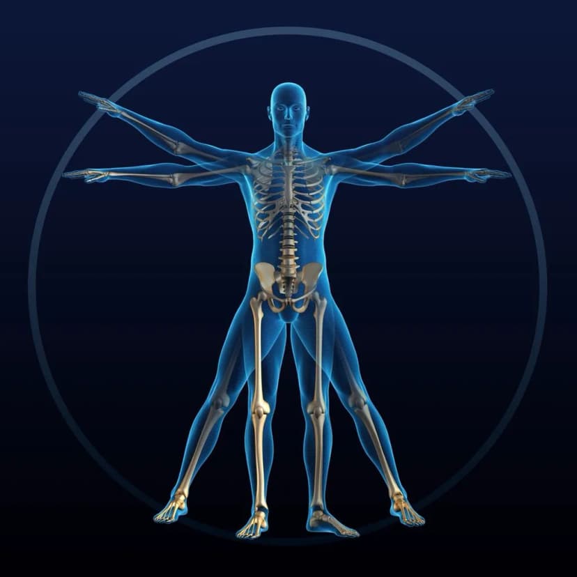 Functional Kinesiology