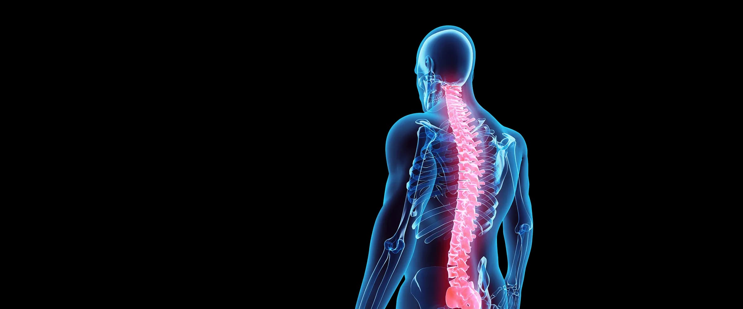 Sciatica spine anatomy